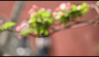微信圖片_20190401111853.gif