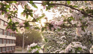 微信圖片_20190401111857.gif