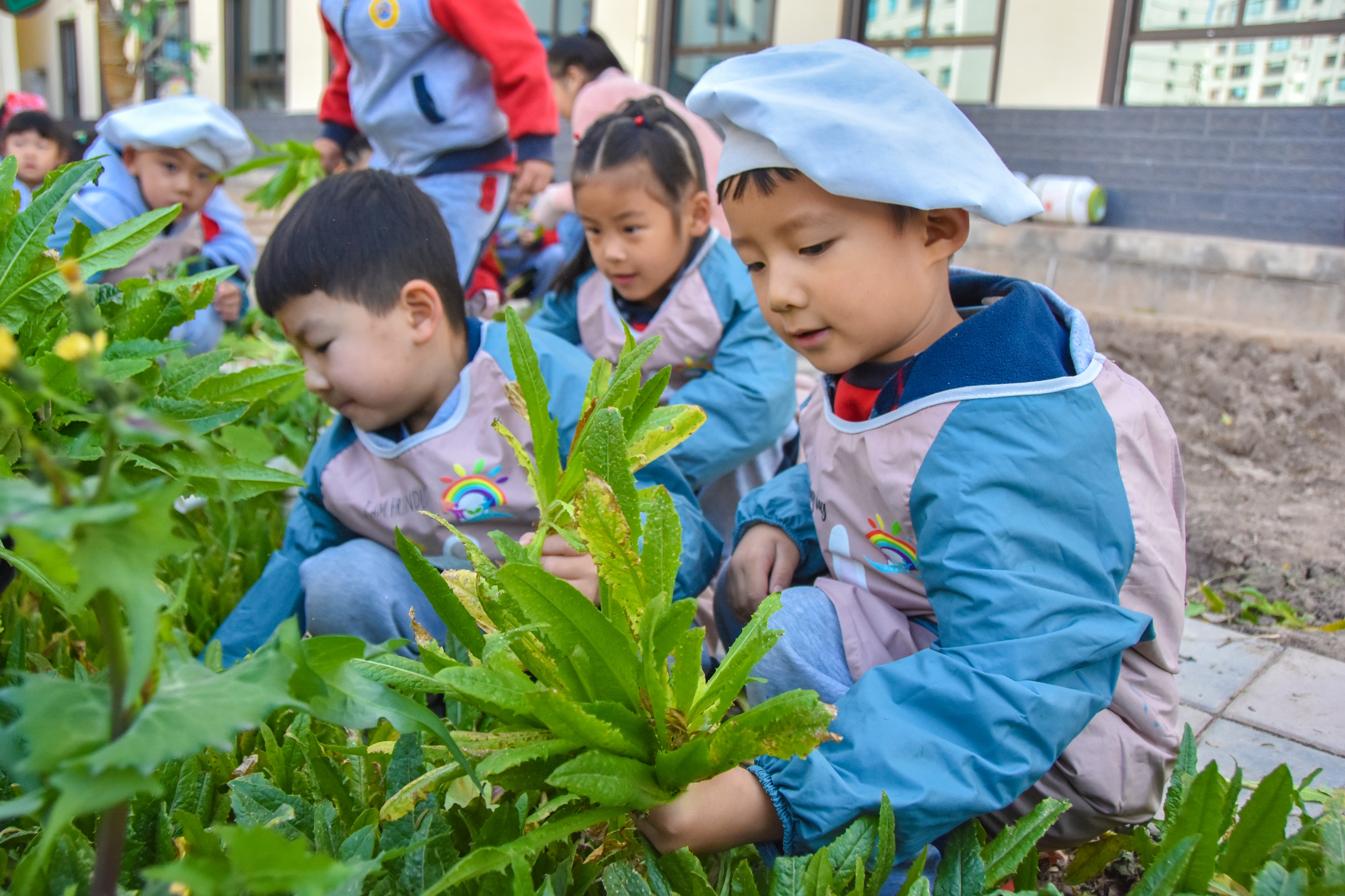 1.甘肅臨澤：濱河幼兒園“種植農(nóng)場(chǎng)” 體驗(yàn)農(nóng)耕樂(lè)趣3.JPG