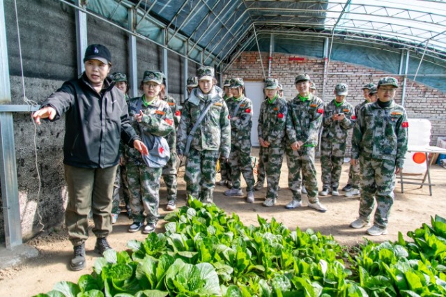 師生在第六埠村蔬菜大棚，了解蔬菜種植過(guò)程和常見(jiàn)病蟲(chóng)害防治等知識(shí)。.jpg